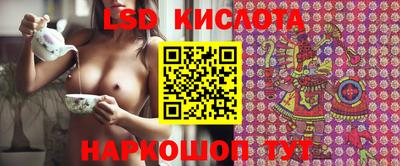 индика Донской